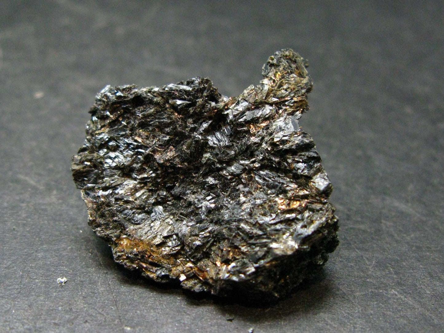 Rare Nuumite Nuummite Raw Piece From Greenland - 11.74 Grams - 1.1"