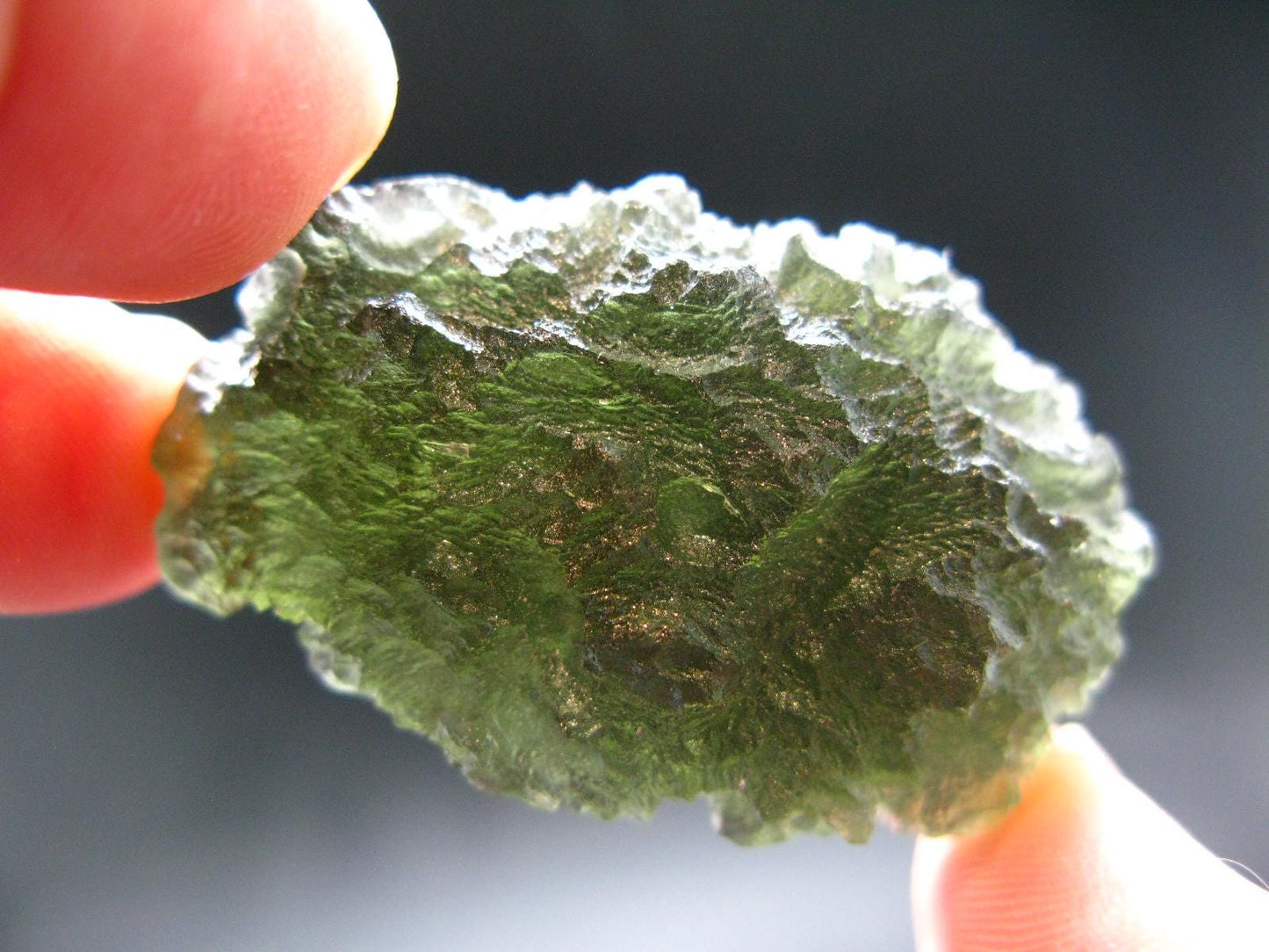 HUGE Moldavite Tektite From Czech Republic - 1.9" - 112.05 Carats 22.41 Grams