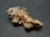 Large Fulgurite Lightning Rock From USA - 1.7" - 1.60 Grams