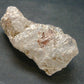 Nirvana Quartz Crystal From Himalayas - 1.6" - 14.85 Grams