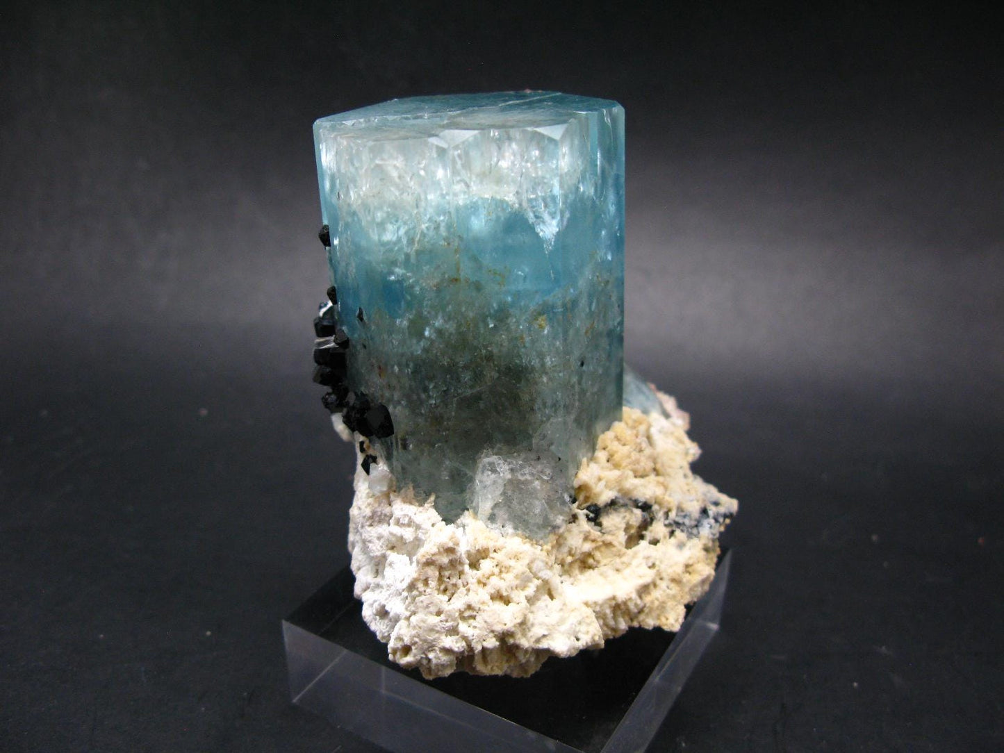 Big Aquamarine & Black Tourmaline Crystal From Erongo Namibia - 3.3"