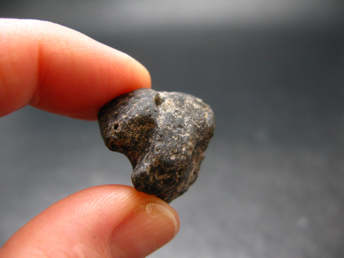 Meteor Splash Glass!! Fabulous Asymmetrical Rare Darwin Glass Tektite Pleistocene Piece From Australia - 0.7"
