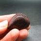 Red Cinnabar Cinabar Tumbled Piece From Spain - 21.39 Grams - 1.2"
