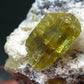 Museum Golden Apatite Cluster From Mexico - 2.2"