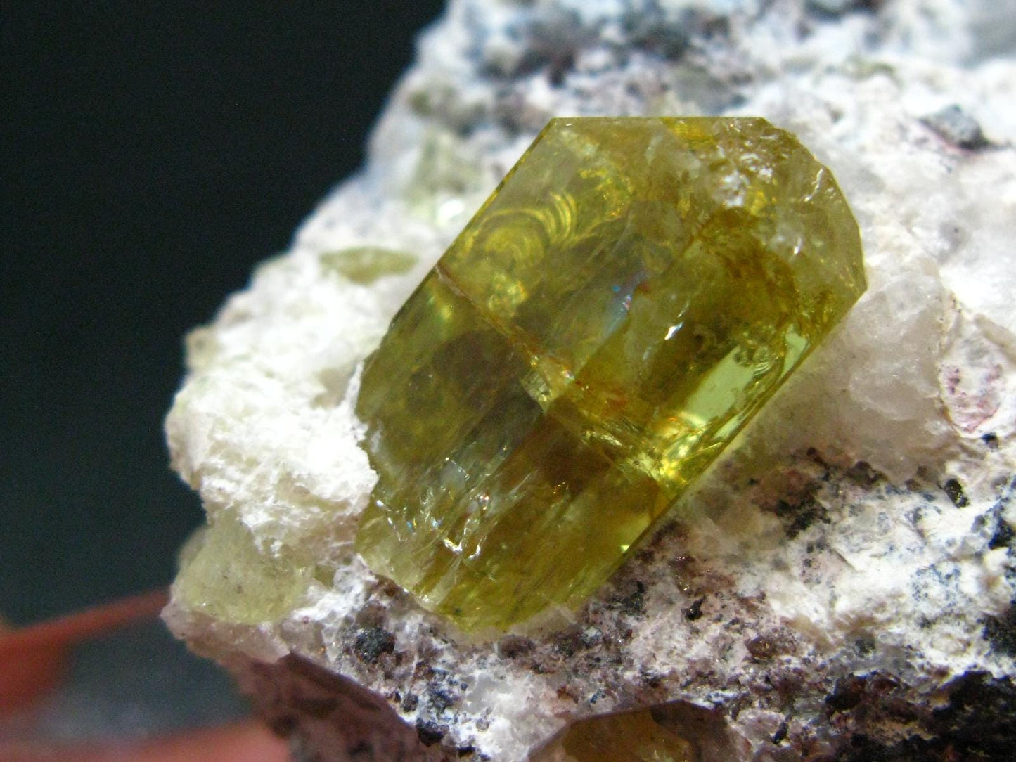 Museum Golden Apatite Cluster From Mexico - 2.2"