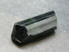 Green Tourmaline Crystal From Brazil - 1.3" - 53.45 Carats