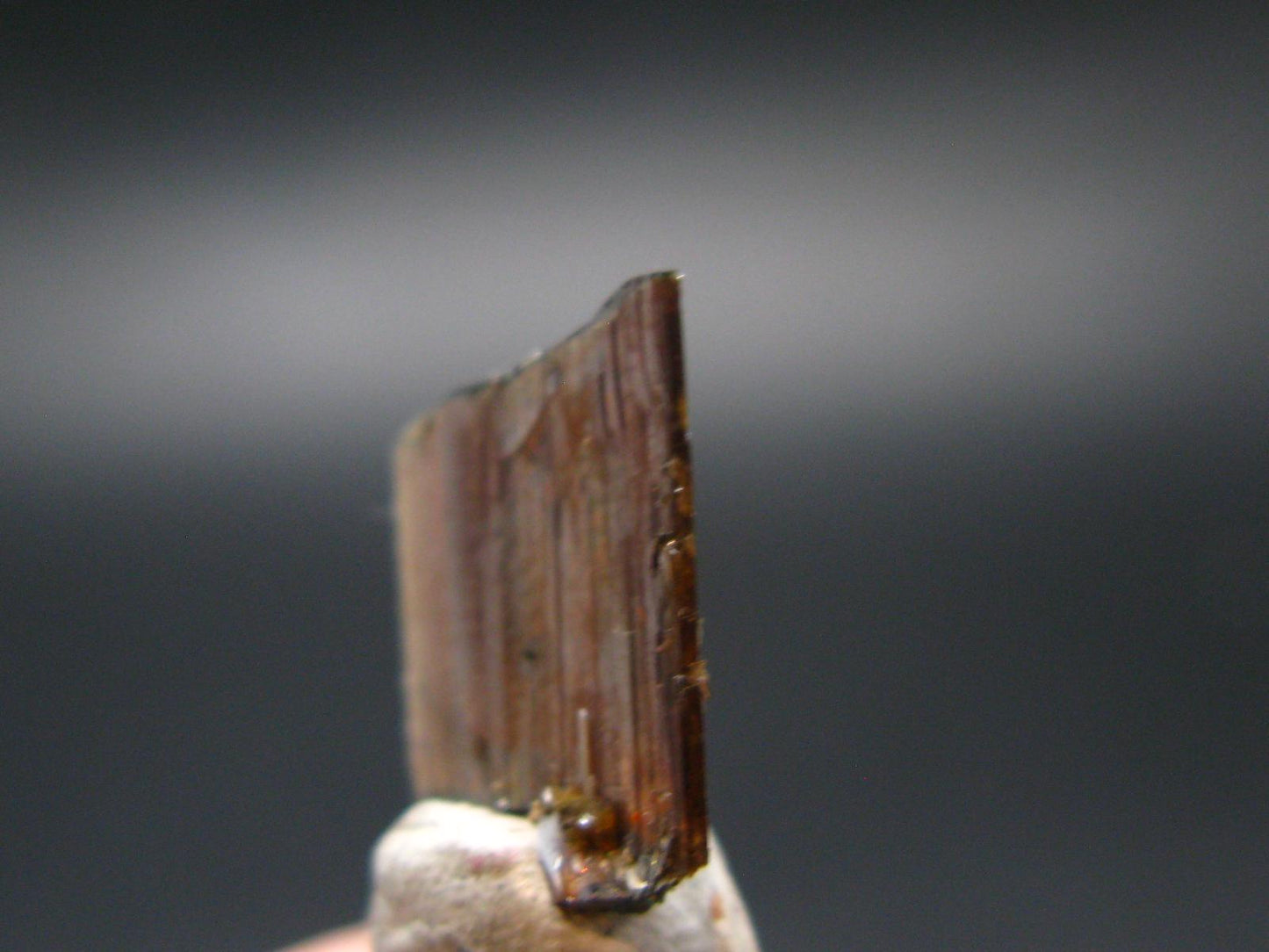 Large Brookite Crystal From Pakistan - 0.53 Grams - 15 mm