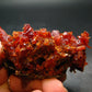 Stunning Fire Red Zincite Zinkite Cluster From Poland - 2.9" - 231.0 Grams