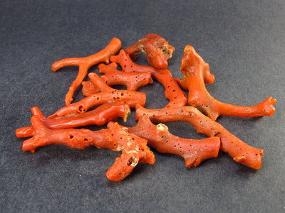 Rare Lot of 10 Natural Red Coral Pieces From Italy - 21 Grams