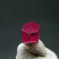 Nice Rare Gem Bixbite Red Emerald Beryl Crystal From Utah USA - 0.49 Carats