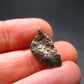 Sikhote Alin Meteorite From Russia - 2.31 Grams - 0.6"