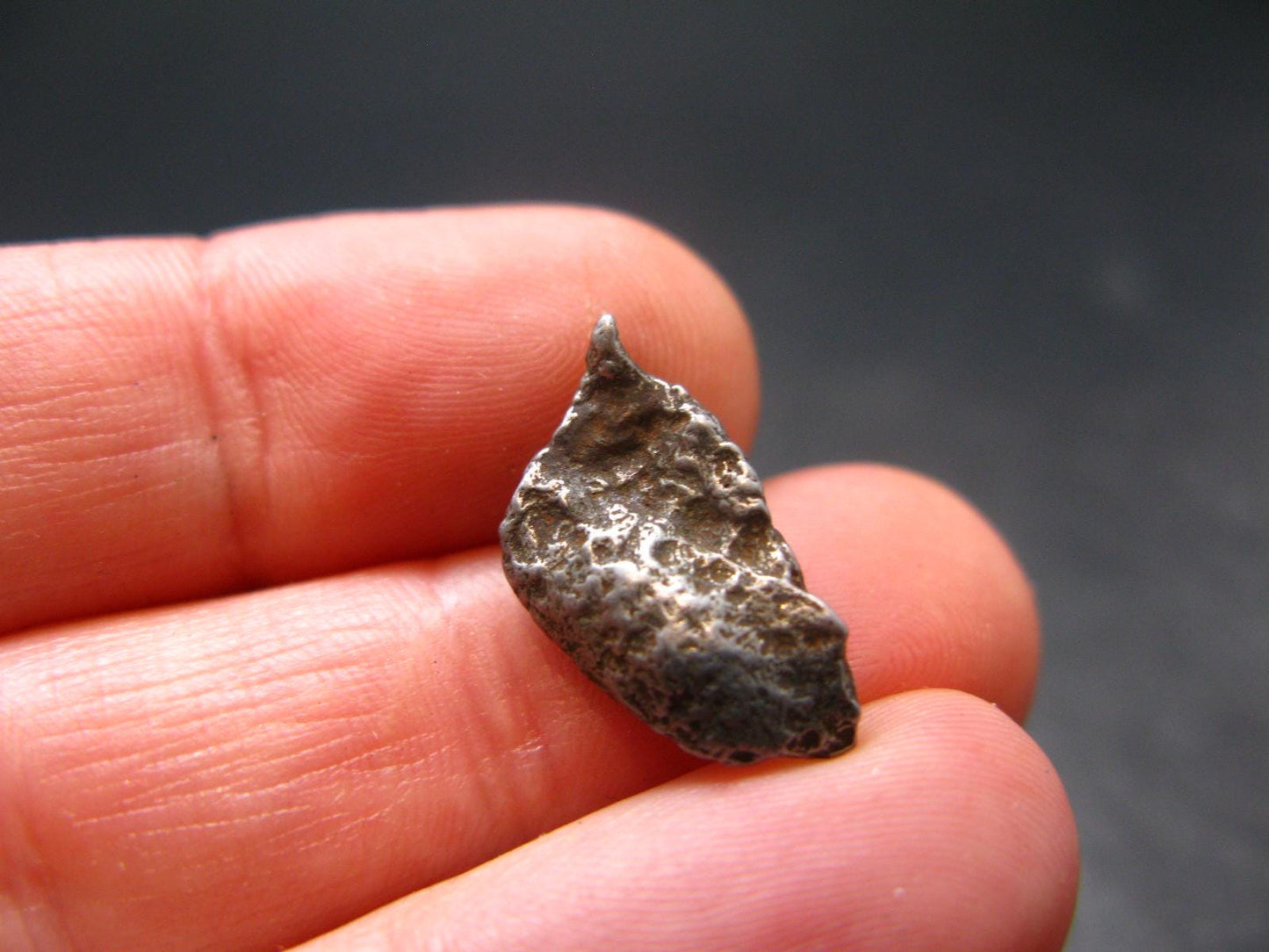 Sikhote Alin Meteorite From Russia - 2.31 Grams - 0.6"