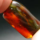 Insects in Amber Piece From Baltic Sea - 5.78 Grams - 1.2"
