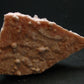 Perfect Genuine Halite Cluster From USA - 3.5" - 84.25 Grams