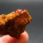 Wulfenite Cluster From Arizona - 1.0"