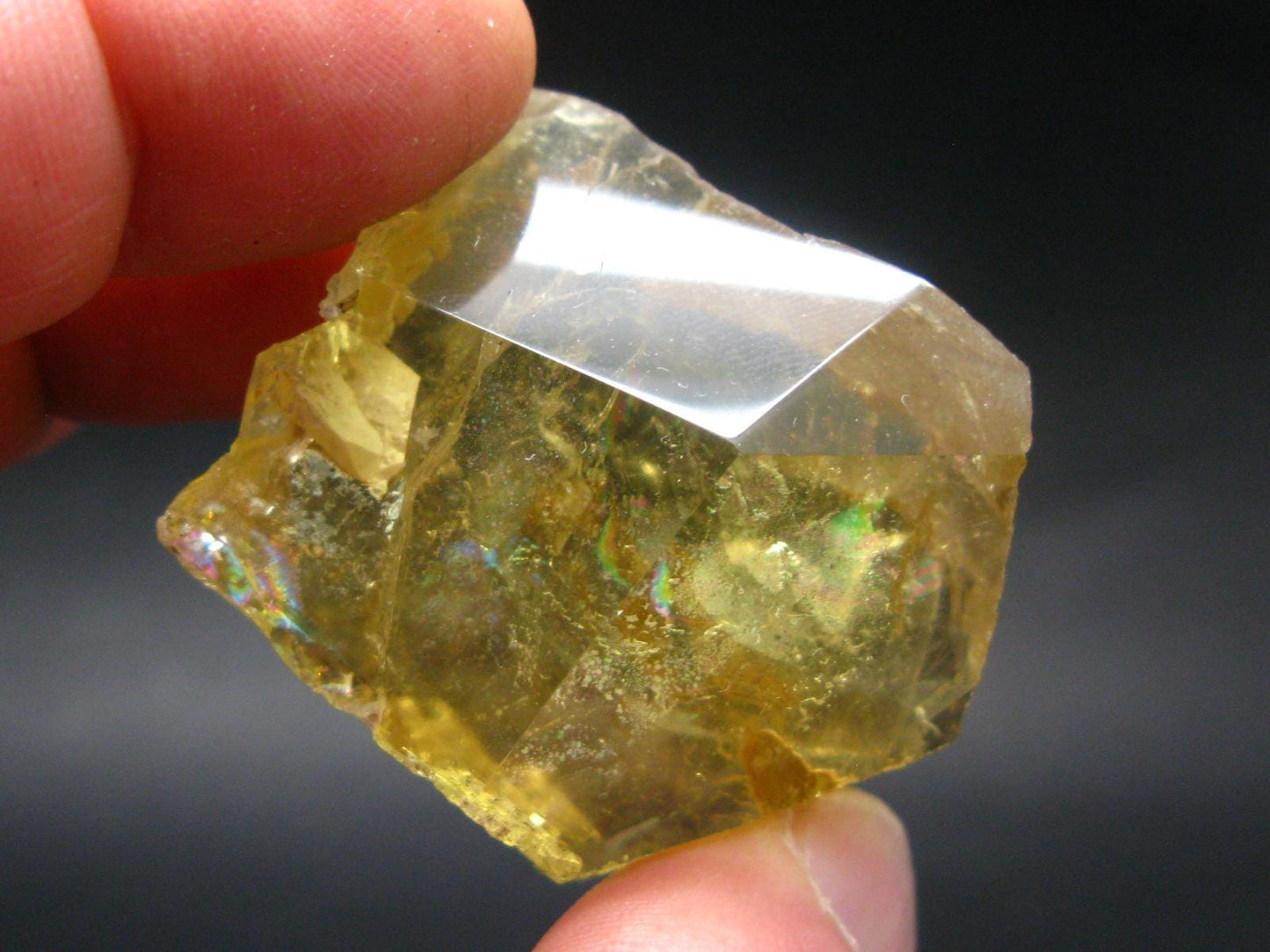 Heliodor (Yellow Beryl) Polished Gem Crystal from Brazil - 53.49 Grams - 1.8"
