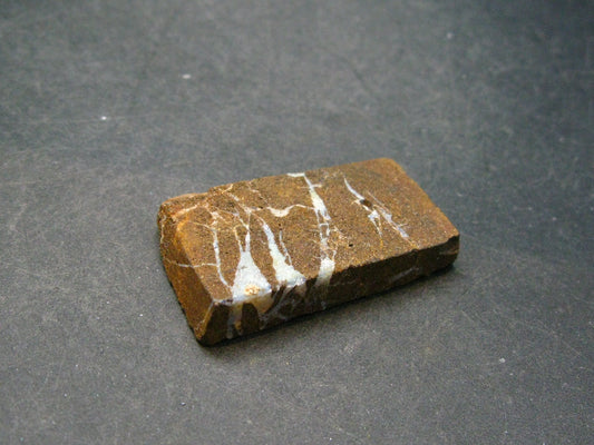 Rare Boulder Opal Piece from Australia - 1.6" - 16.1 Grams