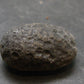Colombianite Pseudotektite from Colombia - 10.83 Grams - 1.1"
