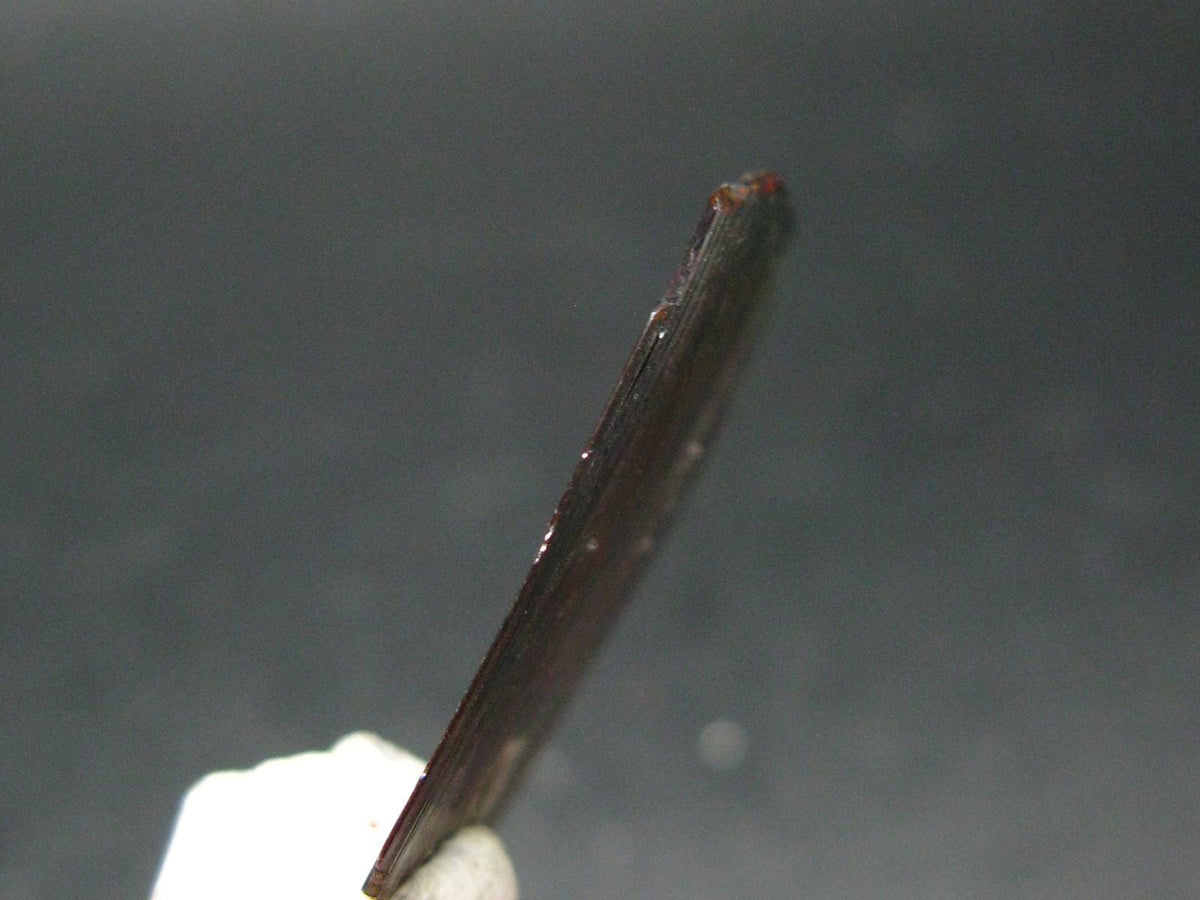 Large Brookite Crystal From Pakistan - 1.40 Grams - 26 mm