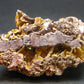 Wulfenite Cluster From Arizona - 3.0"