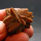 Glendonite (Ikaite after Calcite) Crystal From Russia - 1.0" - 10.18 Grams