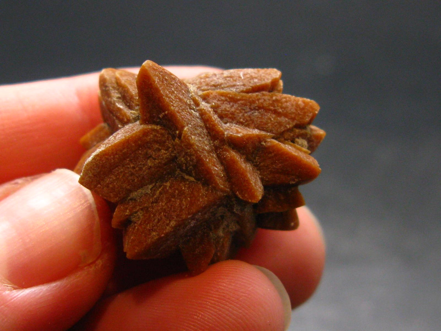Glendonite (Ikaite after Calcite) Crystal From Russia - 1.0" - 10.18 Grams