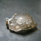 Large DT Elestial Quartz Crystal Silver Pendant From Brazil - 1.1" - 4.16 Grams