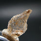 Gem Phenakite Phenacite Crystal from Nigeria - 11.5 Carats