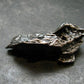 Campo Del Cielo Meteorite from Argentina - 33.18 Grams - 1.7"