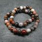 Petrified Wood Genuine Bracelet ~ 7 Inches ~ 4mm Round Beads