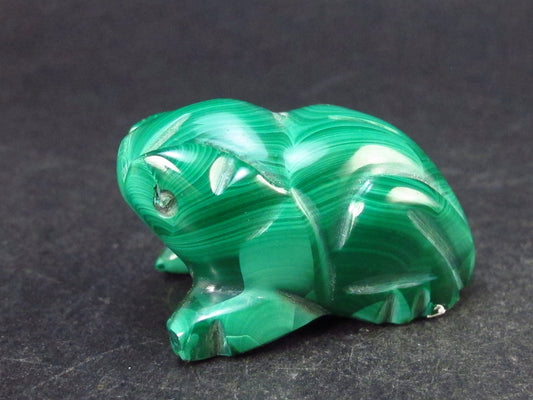 Rich Vivid Vibrant Green Malachite Frog Carving From Congo - 1.3" - 29.0 Grams