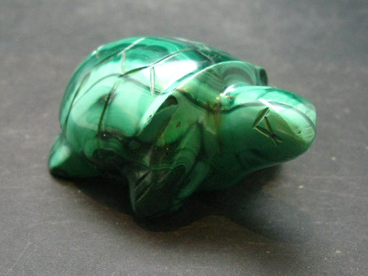Rich Vivid Vibrant Green Malachite Turtle Carving From Congo - 2.5"