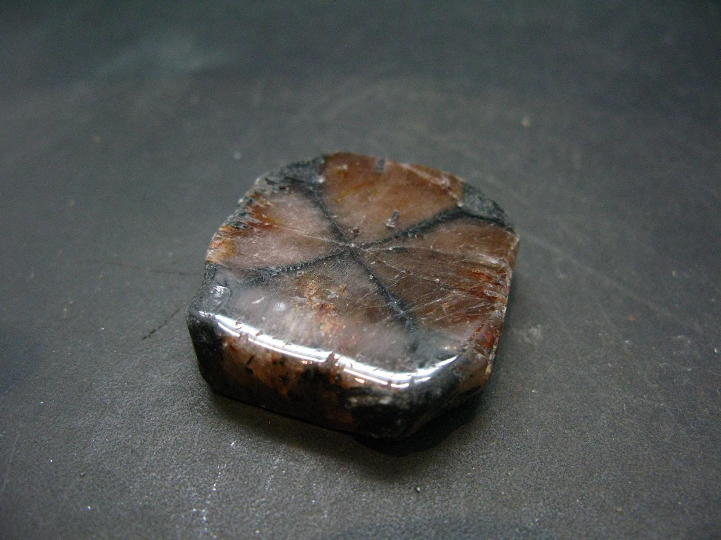 Andalusite Chiastolite Crystal From China - 3.2" - 24.60 Grams