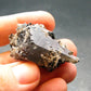 Brookite On Quartz Cluster From Arkansas - 18.36 Grams - 1.6"