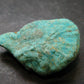 Genuine Tumbled Turquoise from Arizona, USA - 1.4" - 10.0 Grams