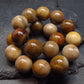 Petrified Wood Genuine Bracelet ~ 7 Inches ~ 10mm Round Beads