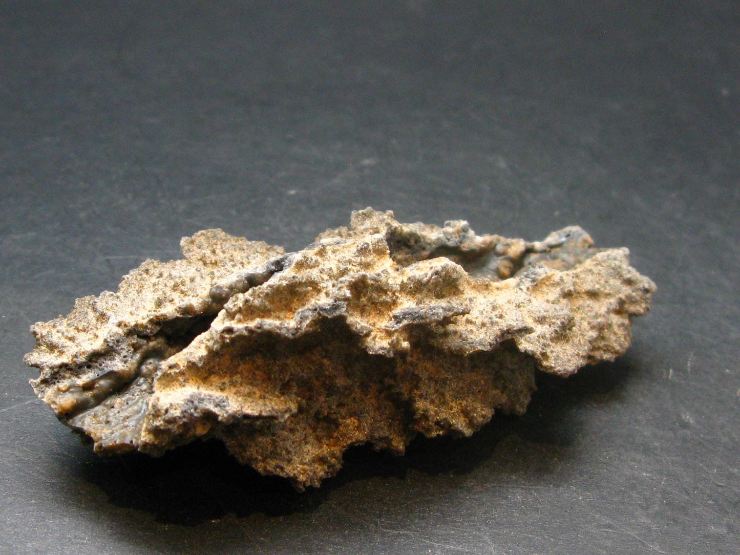 Large Fulgurite Lightning Rock From Sahara Desert - 3.2"