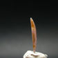 Rare Watermelon Tourmaline Crystal Slice From Brazil - 2.10 Carats