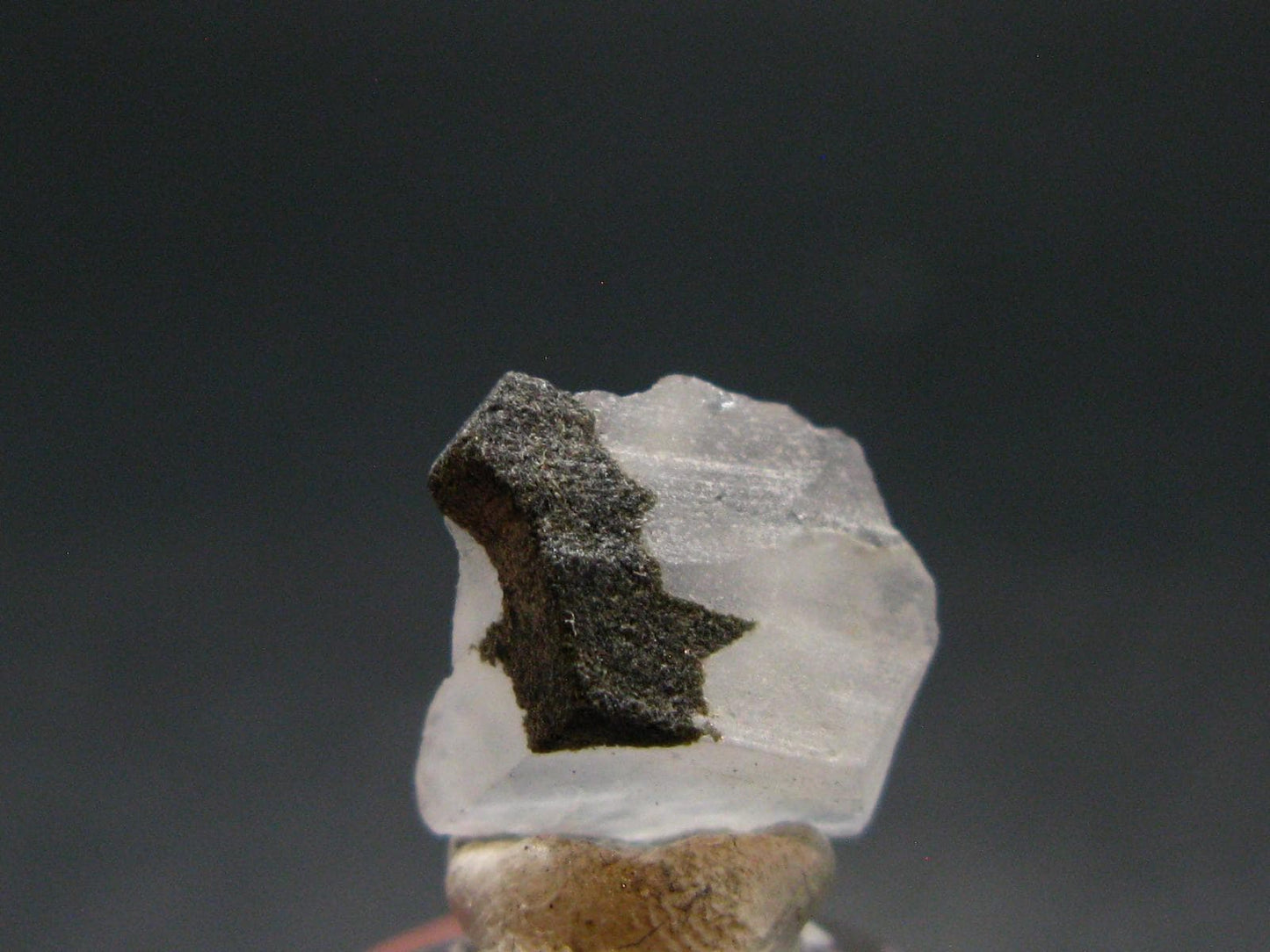 Phenakite Phenacite Crystal Slice from Russia - 4.46 Carats - 0.5"