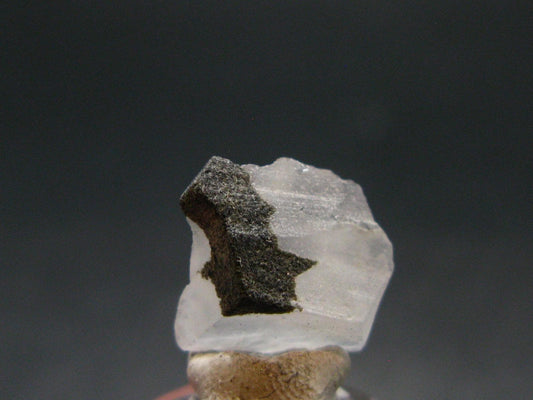 Phenakite Phenacite Crystal Slice from Russia - 4.46 Carats - 0.5"