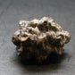 Very rare Z-Stone (Limonite after Marcasite) from Sahara Dessert, Egypt - 1.2" - 23.0 Grams