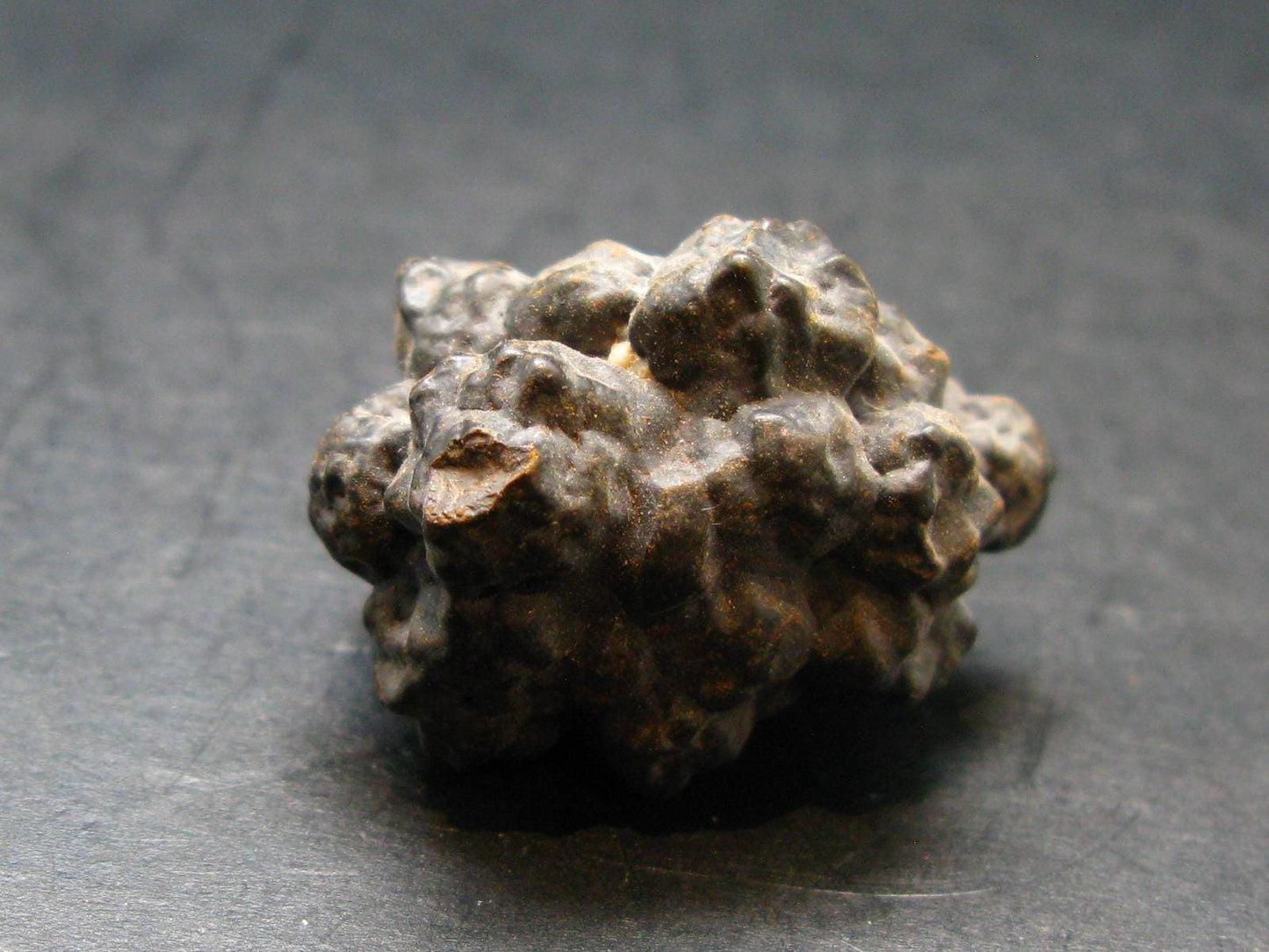 Very rare Z-Stone (Limonite after Marcasite) from Sahara Dessert, Egypt - 1.2" - 23.0 Grams