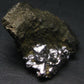 Sperrylite Crystals On Matrix From Norilsk Russia - 1.6" - 10+ Crystals