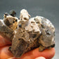 Brookite On Quartz Cluster From Arkansas - 48.86 Grams - 2.2"
