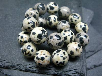 Dalmation Jasper Genuine Bracelet ~ 7 Inches ~ 10mm Round Beads