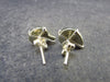 Cute Small Natural Polished Pyritized Ammonite Fossil Stud Earrings In Sterling Silver from Madagascar - 1.80 Grams