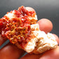 Vanadinite Crystal From Morocco - 1.9" - 52.04 Grams