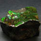 Ammolite Ammollite Fossil From Alberta Canada - 2.3" - 128.94 Grams