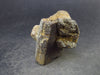 Staurolite Fairy Cross Crystal From USA - 1.4" - 39.6 Grams