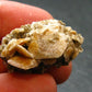 Herderite Cluster from Brazil - 4.59 Grams - 1.2"
